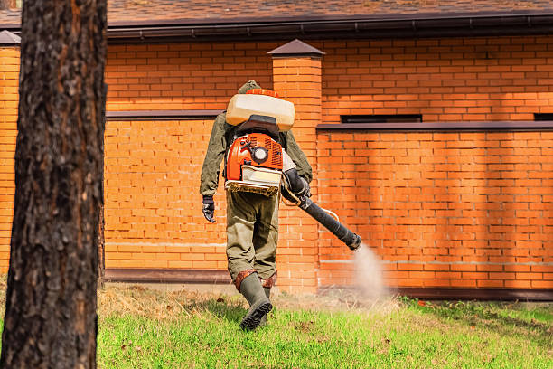 Trusted Rodent Control service in Sweetwater, FL - Nex Pest Control
